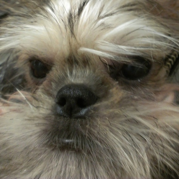 Meet your Posher, Min - Picture 1 of 1